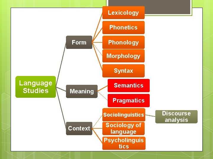 Lexicology Phonetics Form Phonology Morphology Syntax Language Studies Meaning Semantics Pragmatics Sociolinguistics Context Sociology
