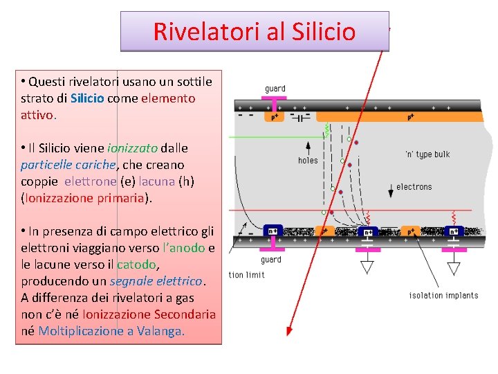 Rivelatori al Silicio • Questi rivelatori usano un sottile strato di Silicio come elemento