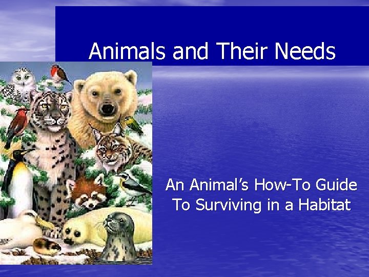 Animals and Their Needs An Animal’s How-To Guide To Surviving in a Habitat 
