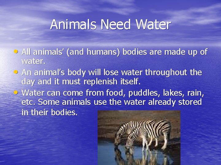 Animals Need Water • All animals’ (and humans) bodies are made up of •