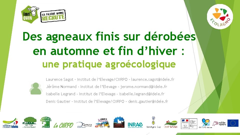 Des agneaux finis sur dérobées en automne et fin d’hiver : une pratique agroécologique