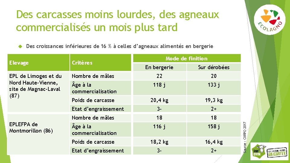 Des carcasses moins lourdes, des agneaux commercialisés un mois plus tard Des croissances inférieures