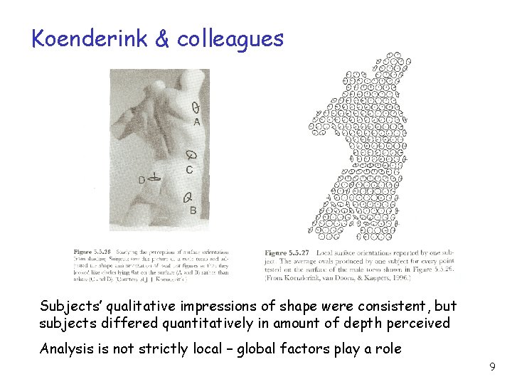 Koenderink & colleagues Subjects’ qualitative impressions of shape were consistent, but subjects differed quantitatively