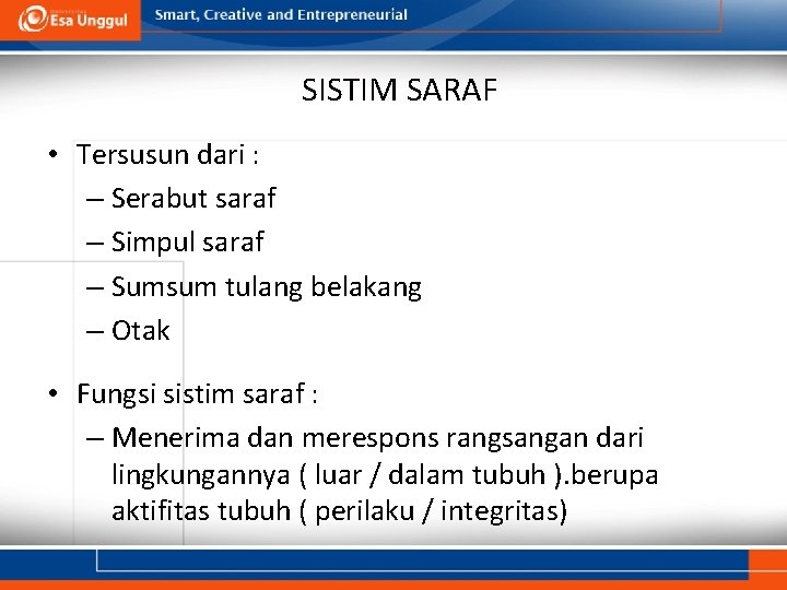 SISTIM SARAF • Tersusun dari : – Serabut saraf – Simpul saraf – Sumsum