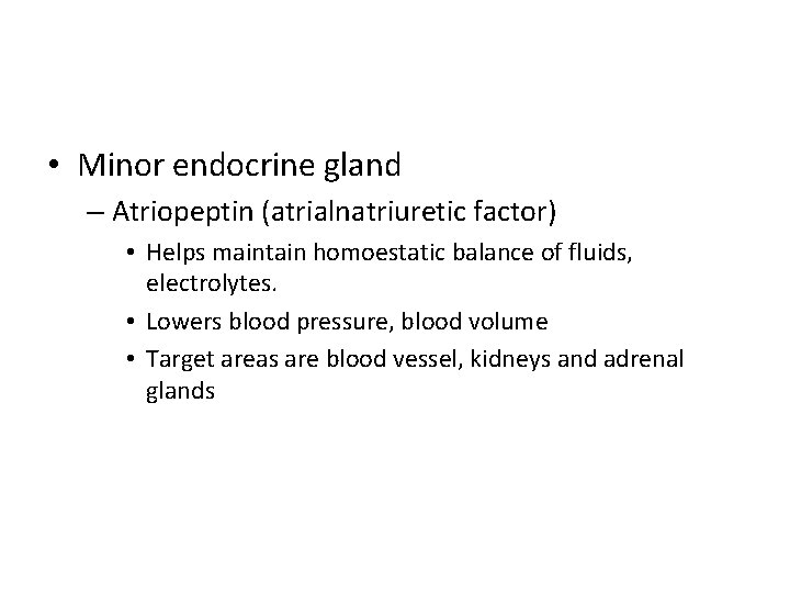  • Minor endocrine gland – Atriopeptin (atrialnatriuretic factor) • Helps maintain homoestatic balance