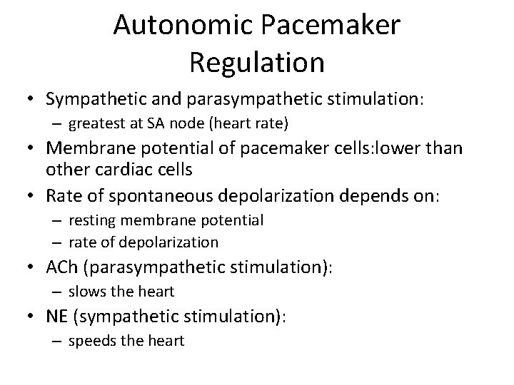 Autonomic Pacemaker Regulation • Sympathetic and parasympathetic stimulation: – greatest at SA node (heart