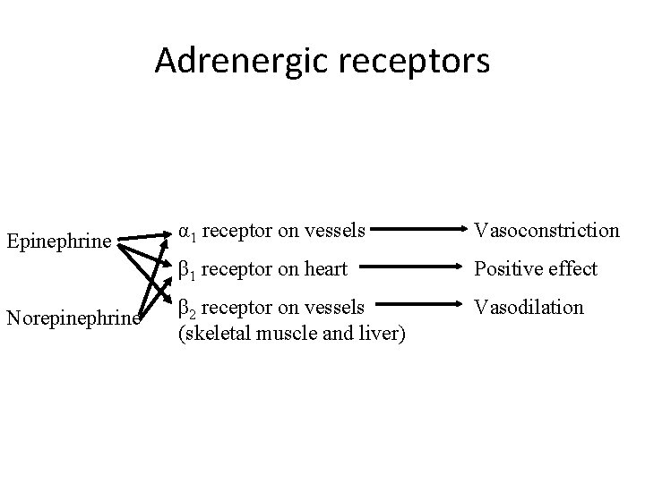 Adrenergic receptors Epinephrine Norepinephrine α 1 receptor on vessels Vasoconstriction β 1 receptor on