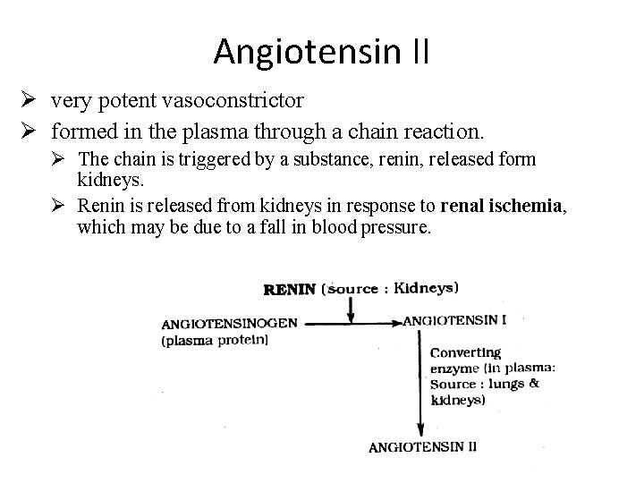 Angiotensin II Ø very potent vasoconstrictor Ø formed in the plasma through a chain Angiotensin II Ø very potent vasoconstrictor Ø formed in the plasma through a chain