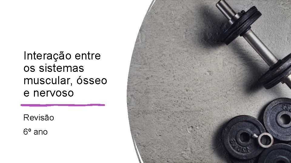Interação entre os sistemas muscular, ósseo e nervoso Revisão 6º ano Interação entre os sistemas muscular, ósseo e nervoso Revisão 6º ano