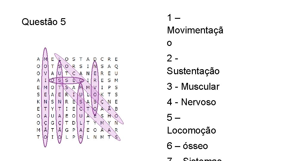 Questão 5 1– Movimentaçã o 2 Sustentação 3 - Muscular 4 - Nervoso 5– Questão 5 1– Movimentaçã o 2 Sustentação 3 - Muscular 4 - Nervoso 5–
