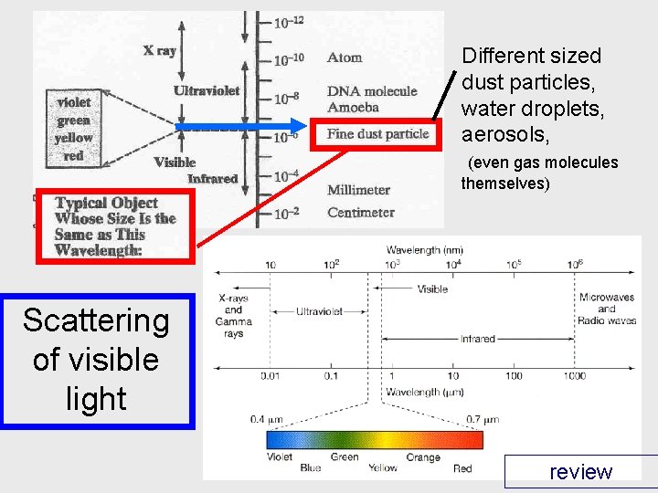 Different sized dust particles, water droplets, aerosols, (even gas molecules themselves) Scattering of visible