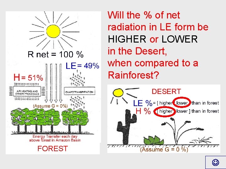 Will the % of net radiation in LE form be HIGHER or LOWER in