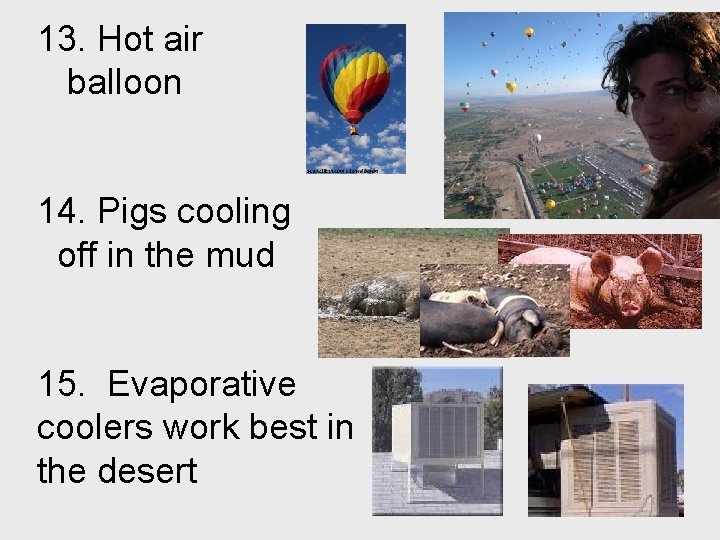 13. Hot air balloon 14. Pigs cooling off in the mud 15. Evaporative coolers