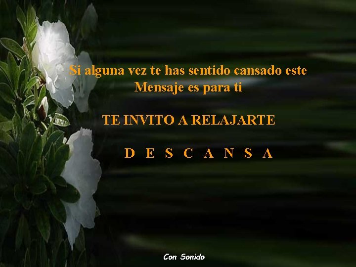 Si alguna vez te has sentido cansado este Mensaje es para ti TE INVITO