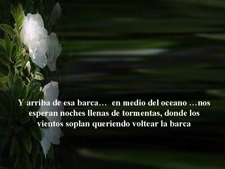 Y arriba de esa barca… en medio del oceano …nos esperan noches llenas de