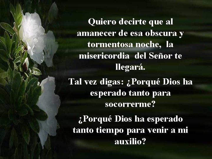 Quiero decirte que al amanecer de esa obscura y tormentosa noche, la misericordia del