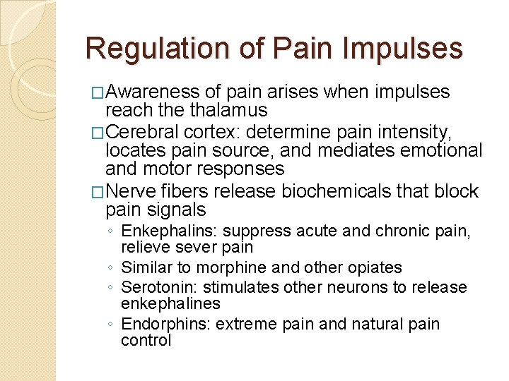 Regulation of Pain Impulses �Awareness of pain arises when impulses reach the thalamus �Cerebral