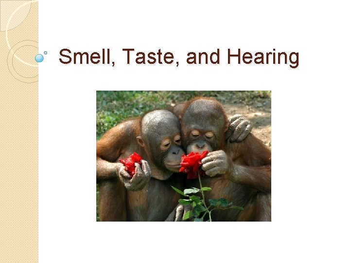 Smell, Taste, and Hearing 