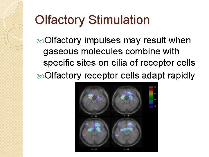 Olfactory Stimulation Olfactory impulses may result when gaseous molecules combine with specific sites on