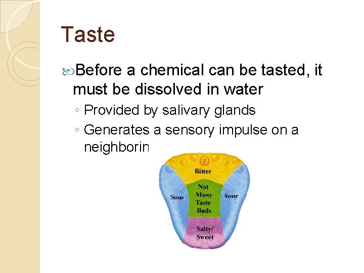 Taste Before a chemical can be tasted, it must be dissolved in water ◦