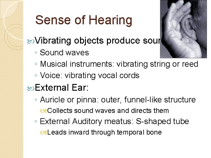 Sense of Hearing Vibrating objects produce sound ◦ Sound waves ◦ Musical instruments: vibrating