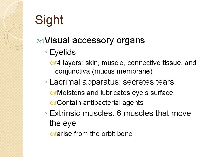 Sight Visual accessory organs ◦ Eyelids 4 layers: skin, muscle, connective tissue, and conjunctiva