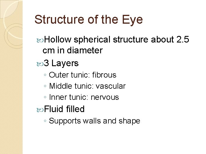 Structure of the Eye Hollow spherical structure about 2. 5 cm in diameter 3