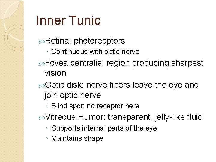 Inner Tunic Retina: photorecptors ◦ Continuous with optic nerve Fovea centralis: region producing sharpest