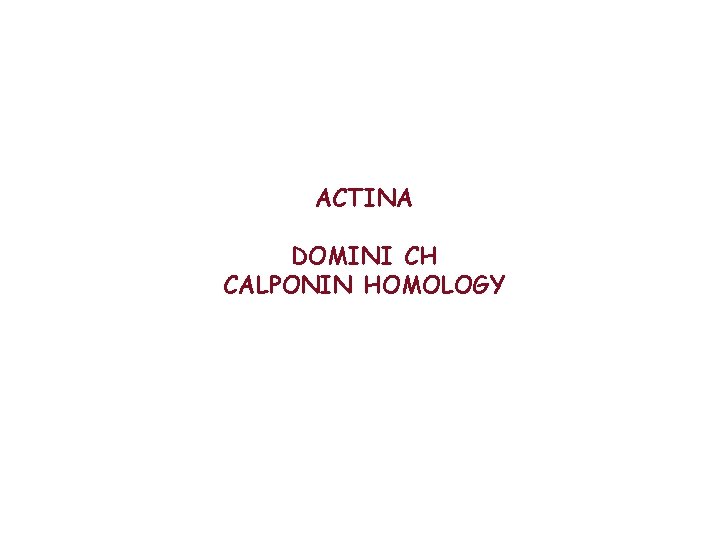 ACTINA DOMINI CH CALPONIN HOMOLOGY 