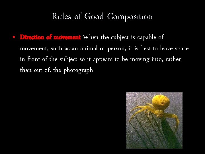 Rules of Good Composition • Direction of movement When the subject is capable of