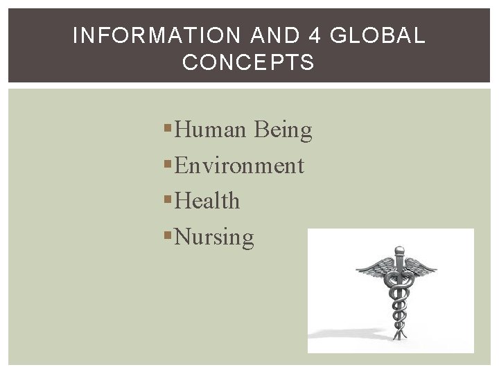 INFORMATION AND 4 GLOBAL CONCEPTS §Human Being §Environment §Health §Nursing 
