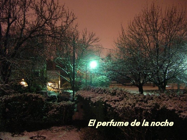 El perfume de la noche 