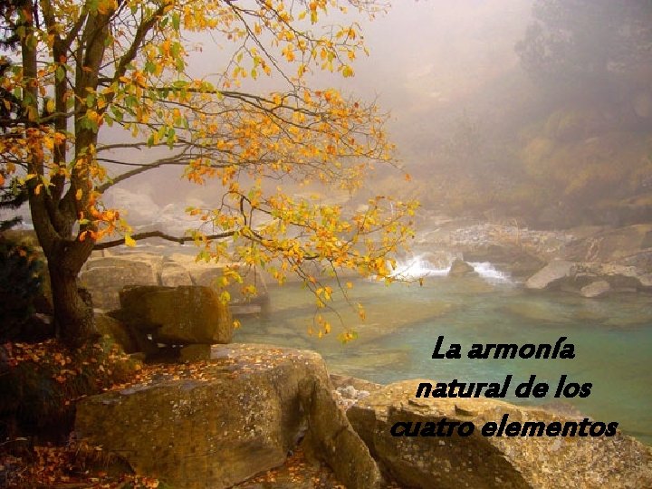 La armonía natural de los cuatro elementos 