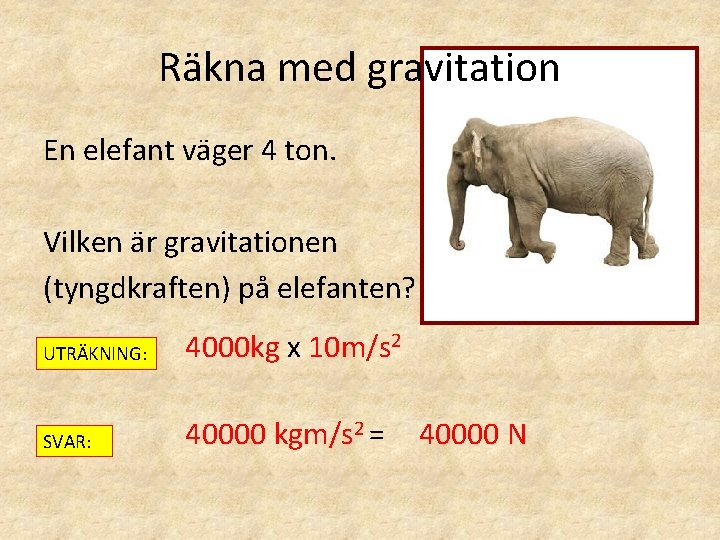 Räkna med gravitation En elefant väger 4 ton. Vilken är gravitationen (tyngdkraften) på elefanten? Räkna med gravitation En elefant väger 4 ton. Vilken är gravitationen (tyngdkraften) på elefanten?