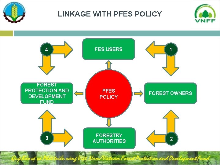 LINKAGE WITH PFES POLICY 4 FES USERS 1 FOREST PROTECTION AND DEVELOPMENT FUND PFES