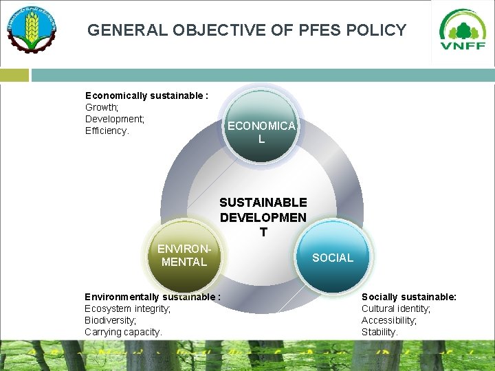 GENERAL OBJECTIVE OF PFES POLICY Economically sustainable : Growth; Development; Efficiency. ECONOMICA L SUSTAINABLE