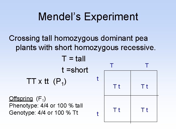 Mendel’s Experiment Crossing tall homozygous dominant pea plants with short homozygous recessive. T =