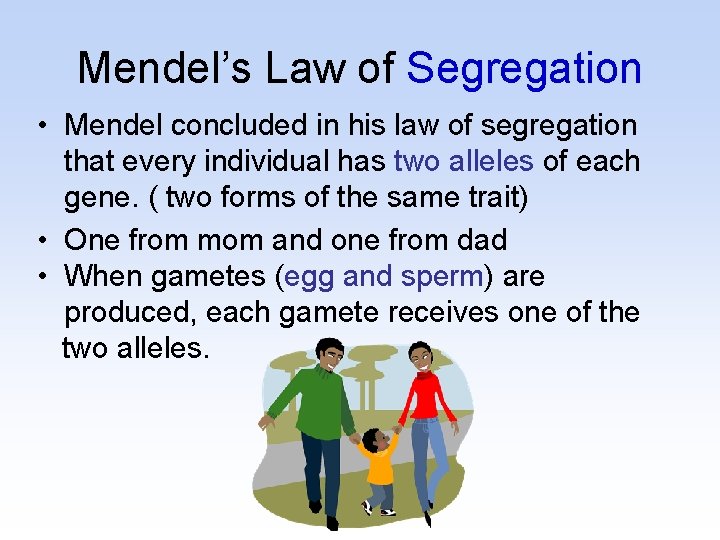 Mendel’s Law of Segregation • Mendel concluded in his law of segregation that every