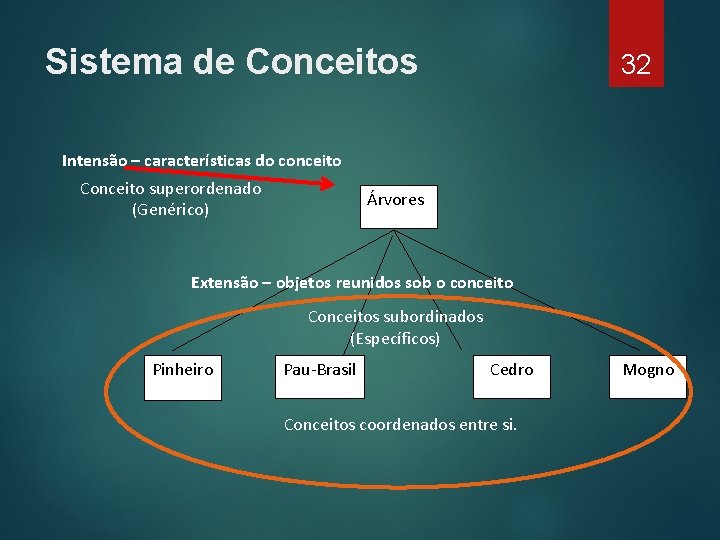 Sistema de Conceitos 32 Intensão – características do conceito Conceito superordenado (Genérico) Árvores Extensão