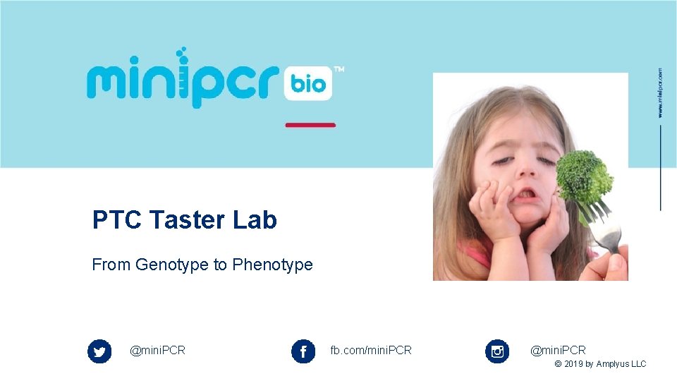 PTC Taster Lab From Genotype to Phenotype @mini. PCR fb. com/mini. PCR @mini. PCR