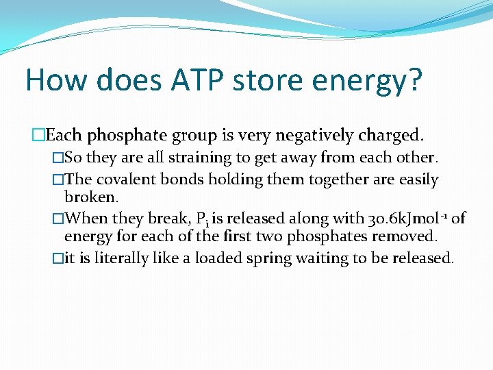 How does ATP store energy? �Each phosphate group is very negatively charged. �So they