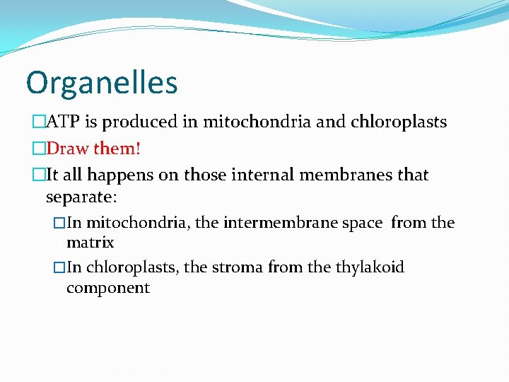 Organelles �ATP is produced in mitochondria and chloroplasts �Draw them! �It all happens on
