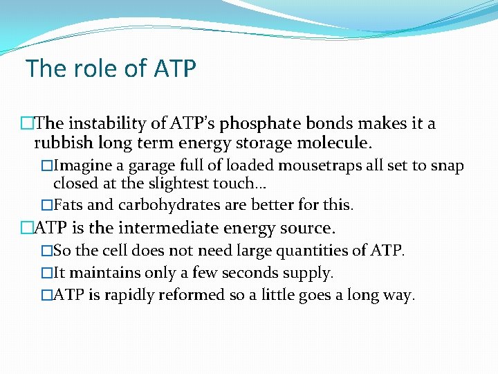 The role of ATP �The instability of ATP’s phosphate bonds makes it a rubbish