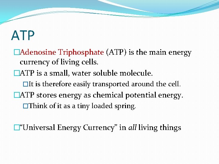 ATP �Adenosine Triphosphate (ATP) is the main energy currency of living cells. �ATP is