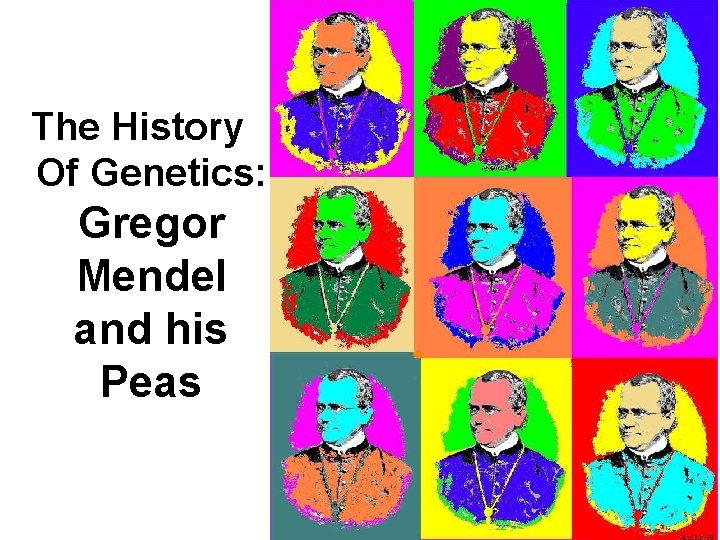 The History Of Genetics: Gregor Mendel and his Peas 