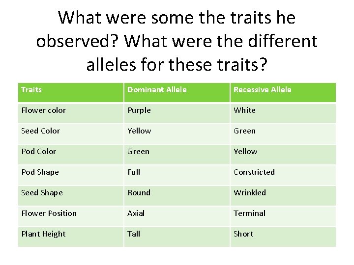 What were some the traits he observed? What were the different alleles for these