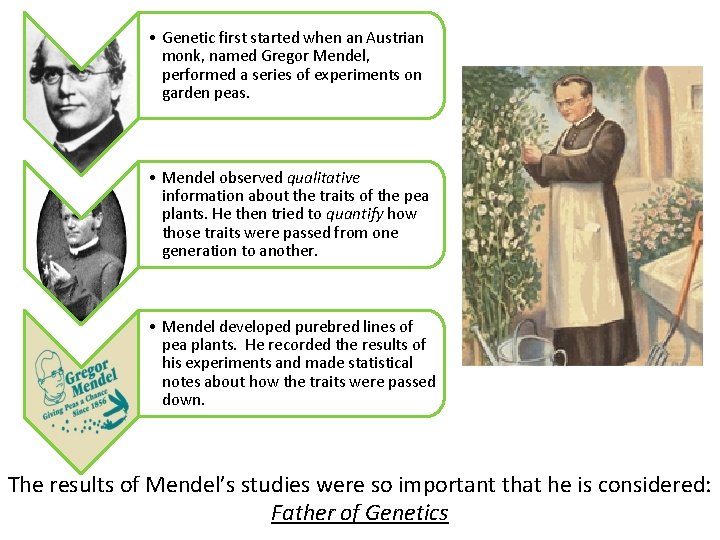  • Genetic first started when an Austrian monk, named Gregor Mendel, performed a