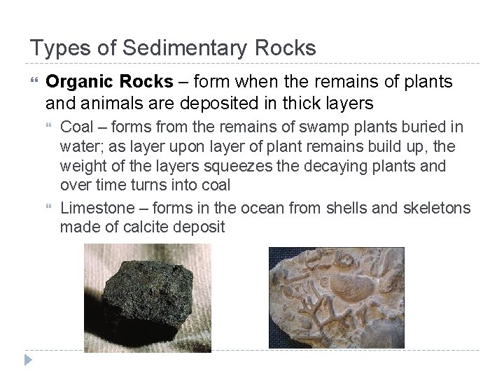 Types of Sedimentary Rocks Organic Rocks – form when the remains of plants and