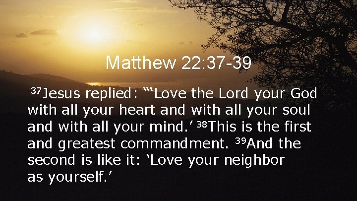 Matthew 22: 37 -39 37 Jesus replied: “‘Love the Lord your God with all Matthew 22: 37 -39 37 Jesus replied: “‘Love the Lord your God with all