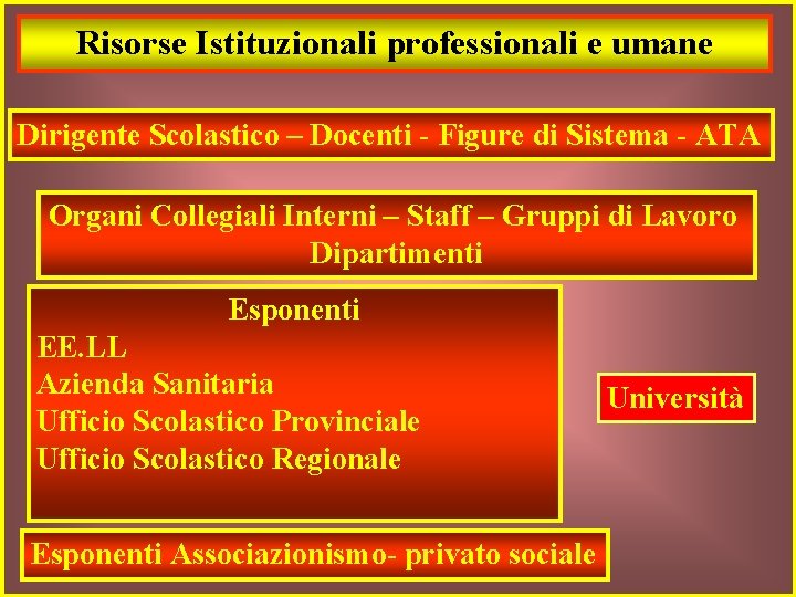 Risorse Istituzionali professionali e umane Dirigente Scolastico – Docenti - Figure di Sistema -